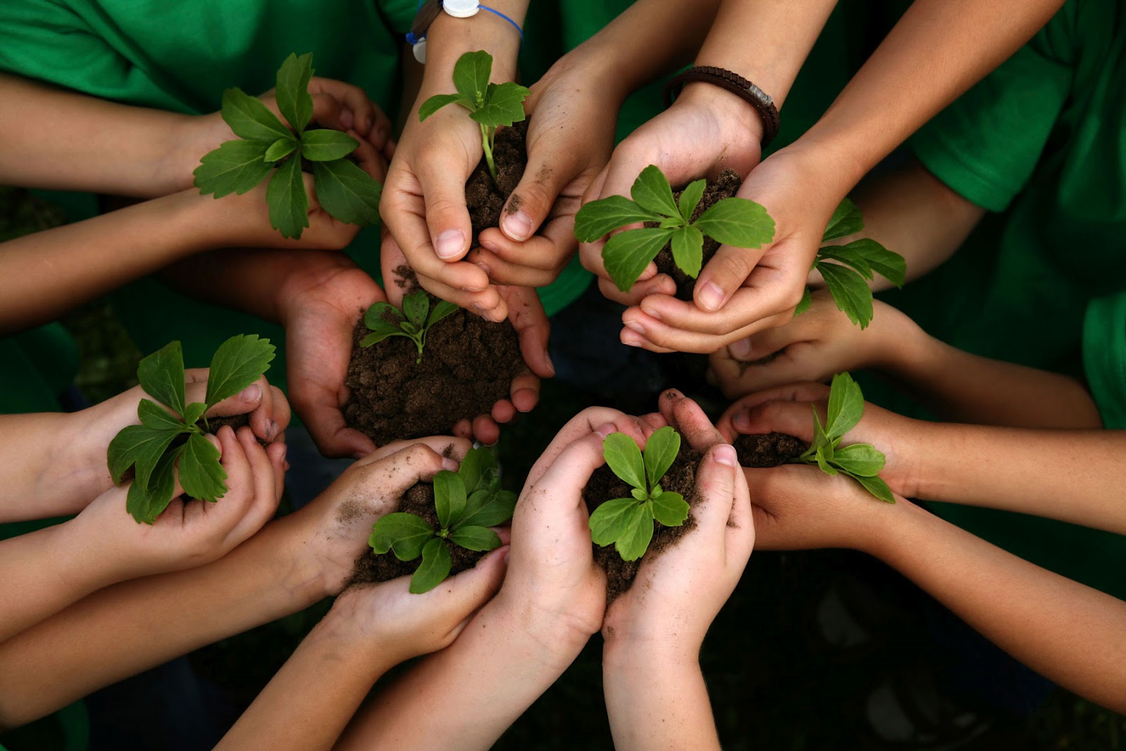 Sustentabilidade - Semana do Meio Ambiente