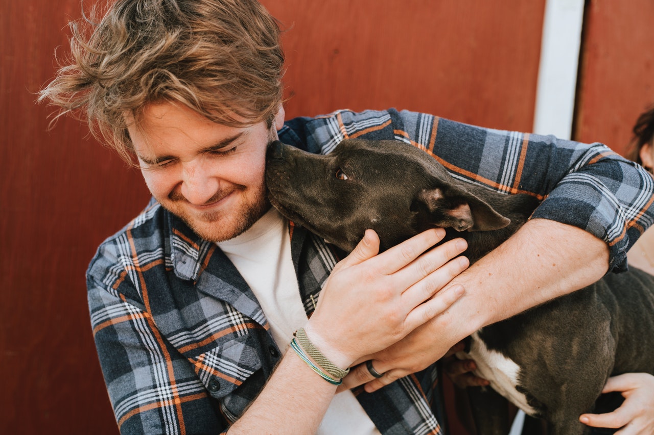 o que diz a lei do inquilinato para os animais de eestimação